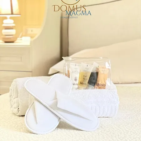 ゲストハウス Domus Magma ポンペイ