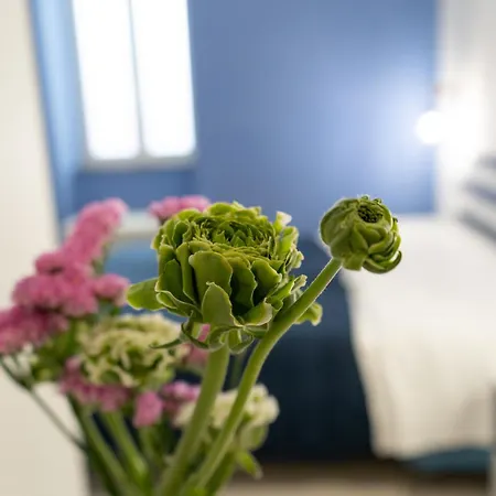 Casa de hóspedes Domus Magma